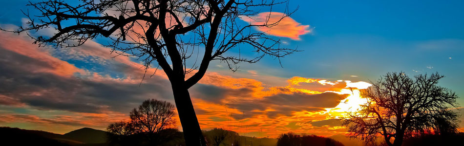 免费ddos攻击网页端