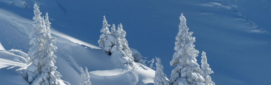 免费ddos压力测试平台