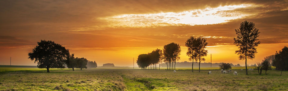 ddos在线压力测试平台